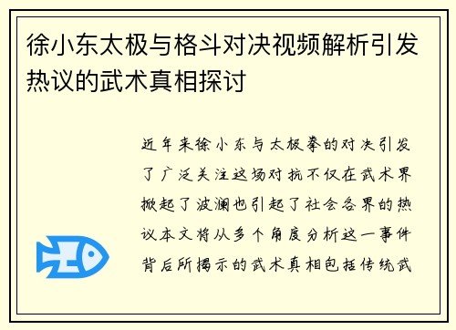 徐小东太极与格斗对决视频解析引发热议的武术真相探讨